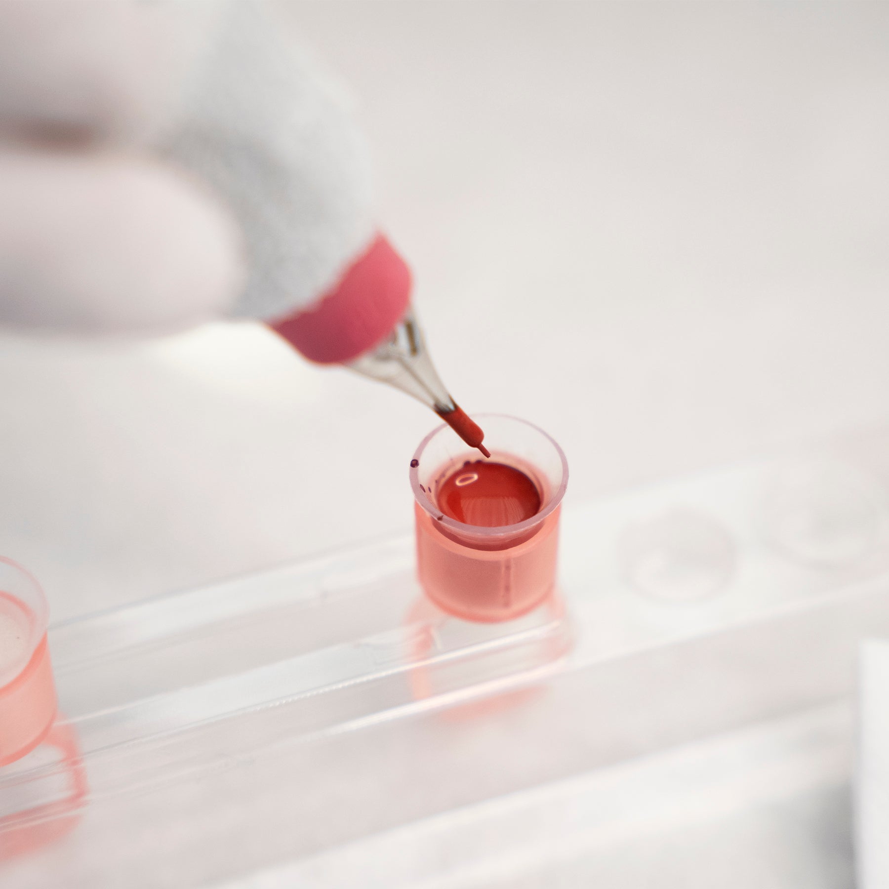 DISPOSABLE SPONGE PIGMENT RING CUP